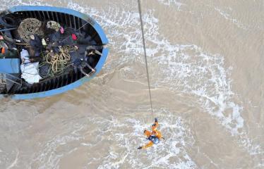 लसाsन्या