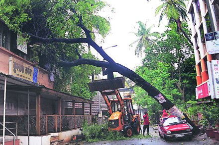 पावसाचा जोर ओसरला, जनजीवन पूर्वपदावर