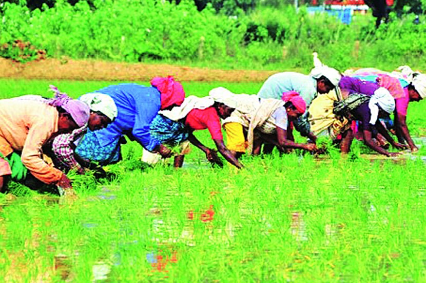 शेतीचे नवे तंत्रज्ञान, आता आपल्या भाषेत