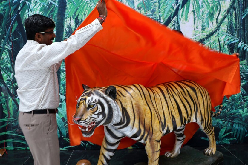 ‘जबडय़ात घालुनी हात मोजतो दात, जात ही अमुची’ असा नारा मुख्यमंत्र्यांनी दिल्यापासून सत्तेतील वाघ-सिंहाचे सख्य काहीसे बिघडले होते. मात्र मध्यंतरी वनमंत्री सुधीर मुनगंटीवार यांनी शिवसेना पक्षप्रमुख उद्धव ठाकरे यांना वाघाची फायबरची प्रतिकृती भेट देण्यासाठी ‘मातोश्री’ गाठली, आणि वाघाला चुचकारले. ‘वाघ वाढले पाहिजेत’, असे उद्धव ठाकरे म्हणाले आणि मुनगंटीवारांनी मान हलवून त्याला पाठिंबाही दिला. (छाया- प्रशांत नाडकर)