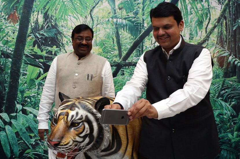 त्यामुळे वाघाशी कसेही वागा, तो शांतपणे सेल्फी काढू देईल, असा संदेश तर सरकार जनतेला देत नाही ना, अशी कुजबुज लगेचच सुरू झाली आहे. वनमंत्री मुनगंटीवार तर वाघांच्या प्रदेशातच वावरणारे असल्याने, फायबरचे वाघ उपद्रवकारक नाहीत, या खात्रीनेच मंत्रालयाच्या उघडय़ा प्रांगणात वाघाला जागा दिल्याचे बोलले जात आहे. (छाया- प्रशांत नाडकर)
