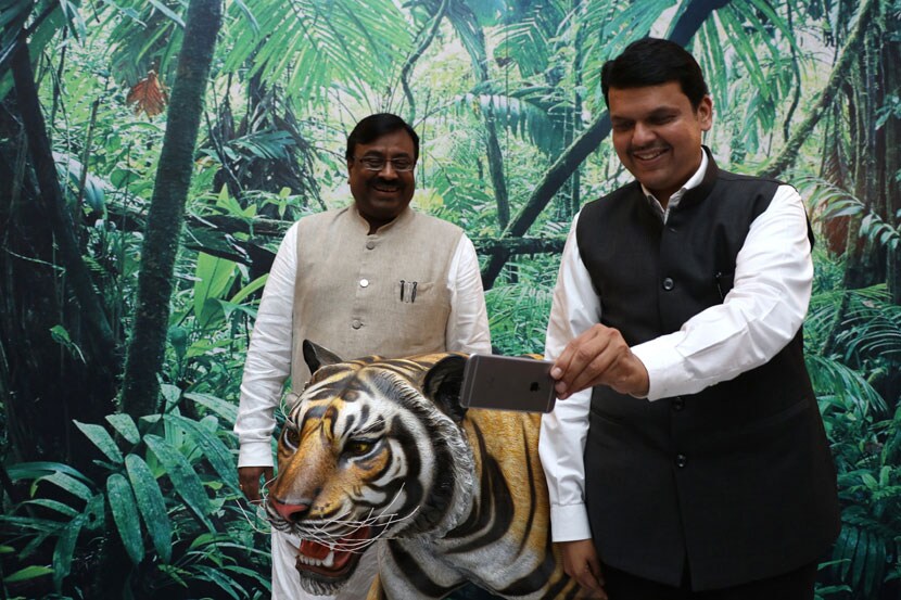 ‘जबडय़ात घालुनी हात मोजतो दात, जात ही अमुची’ असा नारा मुख्यमंत्र्यांनी दिल्यापासून सत्तेतील वाघ-सिंहाचे सख्य काहीसे बिघडले होते.