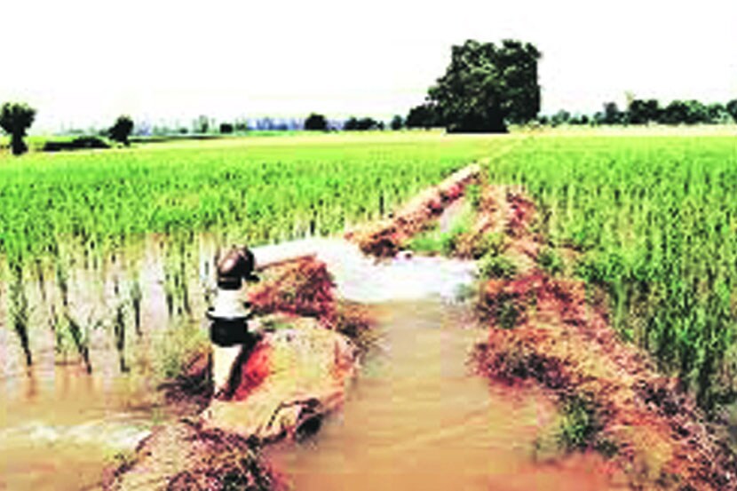 ( संग्रहीत प्रतिकात्मक छायाचित्र )