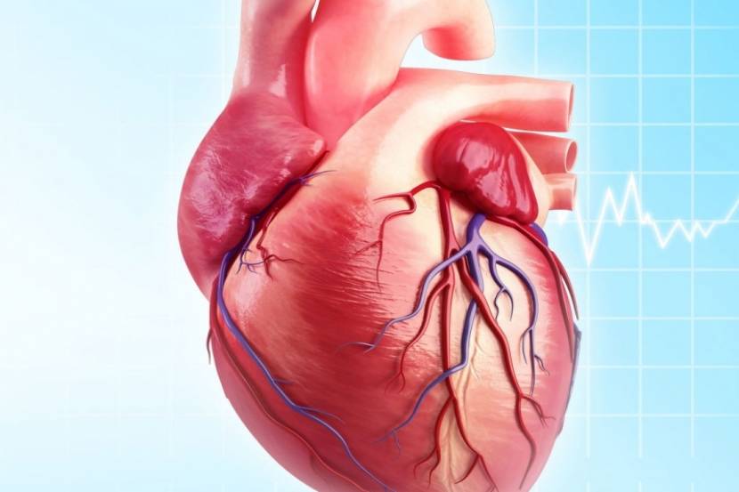 शरीरासाठी आवश्यक असणारा ऑक्सिजन आणि पोषक तत्व शरीराला पोहोचवण्याचे प्रमुख काम हे हृदयाचे आहे. ज्या धमन्यांमधून हा रक्तपुरवठा सुरू असतो त्या वाढत्या वयाबरोबर कमजोर होऊ लागतात.