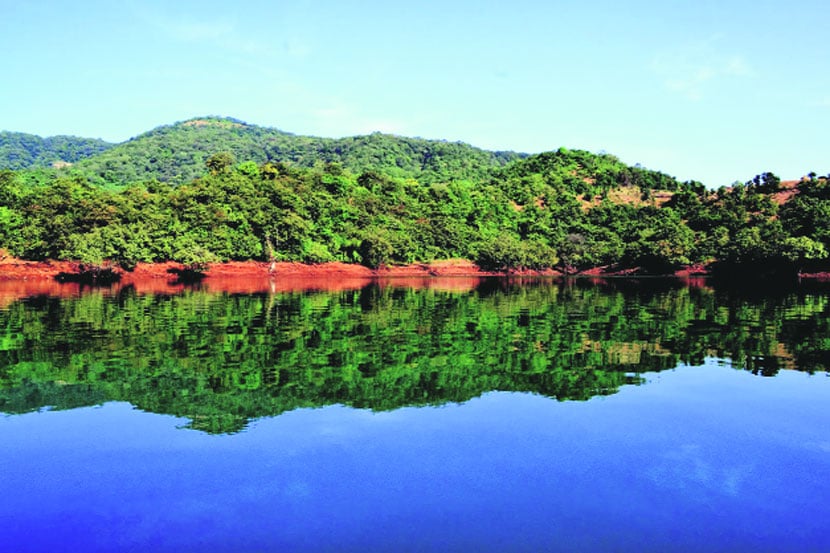 Koyna dam , water level increase , heavy rain, Monsoon, Loksatta, Loksatta news, Marathi, Marathi news