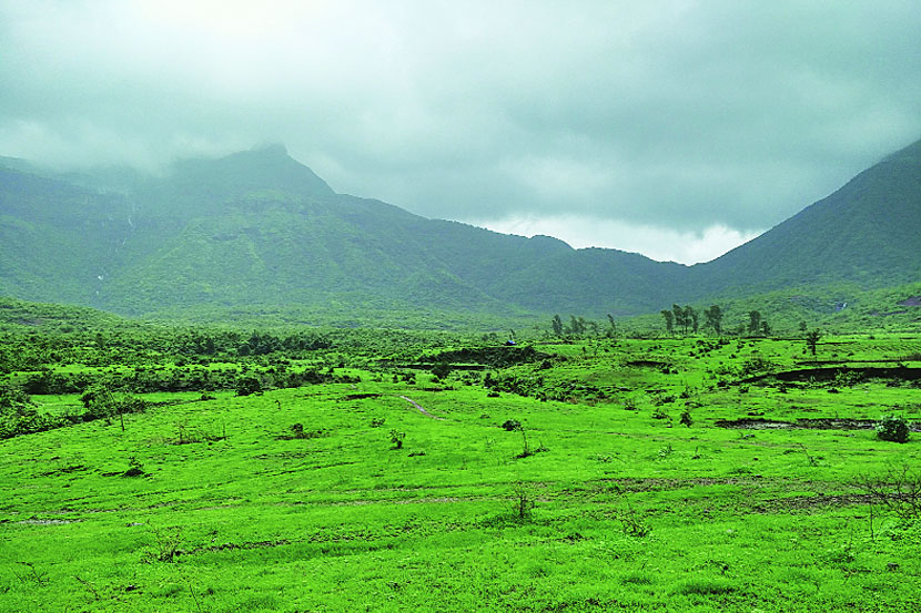 कल्याणपासून आठ किलोमीटर अंतरावर मलंग गडाच्या पायथ्याशी कुशीवली धरणाचे खोरे आहे.