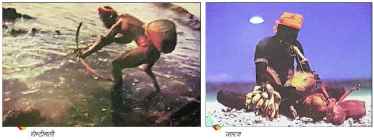 38-lp-andaman