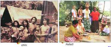 39-lp-andaman