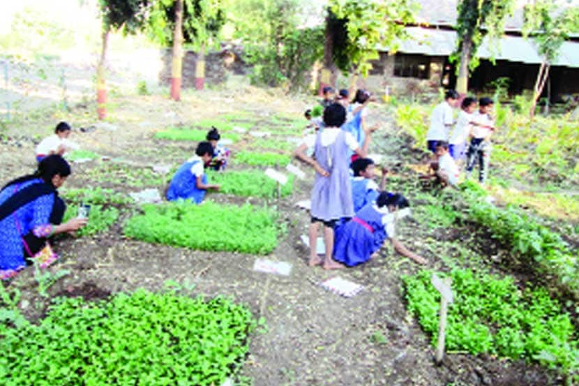  शाळेच्या परसबागेत काम करताना विद्यार्थिनी.