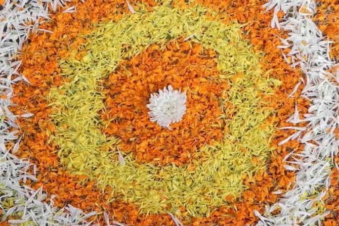 जयश्री कुलकर्णी