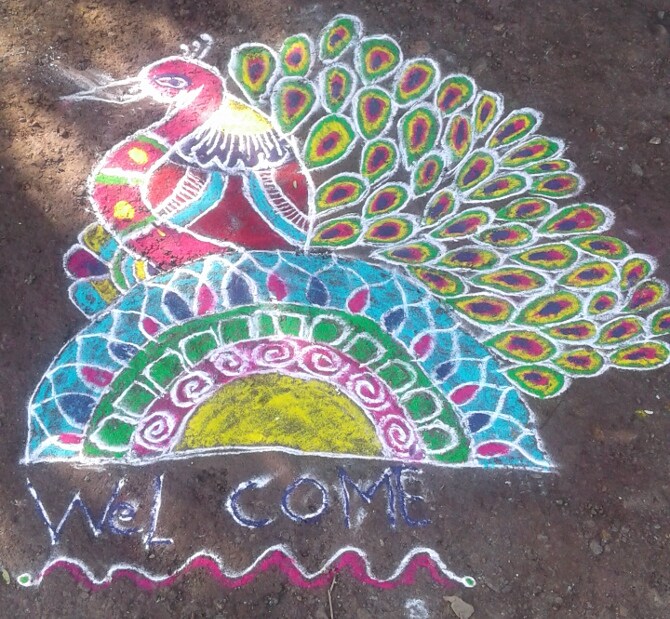 धनश्री वानखडे, वाशीम