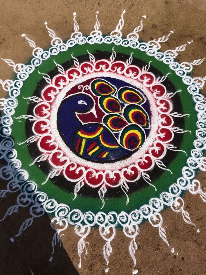 वर्षा चौधरी, नाशिक