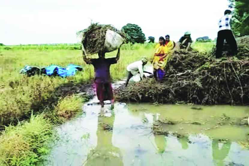 इडापीडा आणि टोळीराज्य