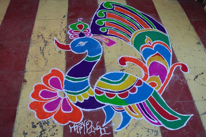 सुजाता कोलते, बुलढाणा