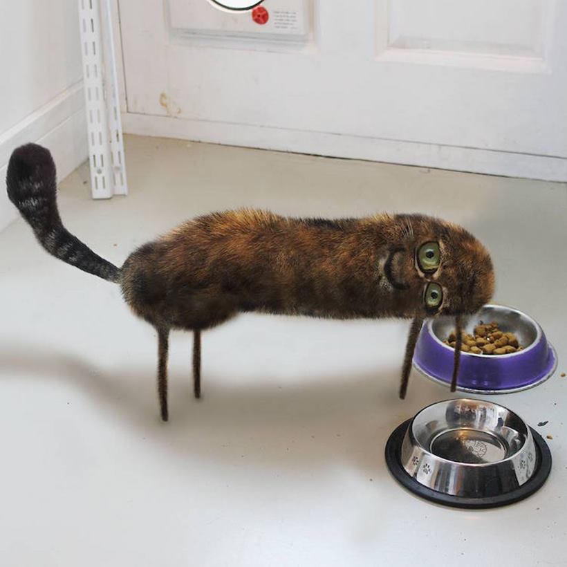 (Source: Instagram/ Things I Have Drawn)