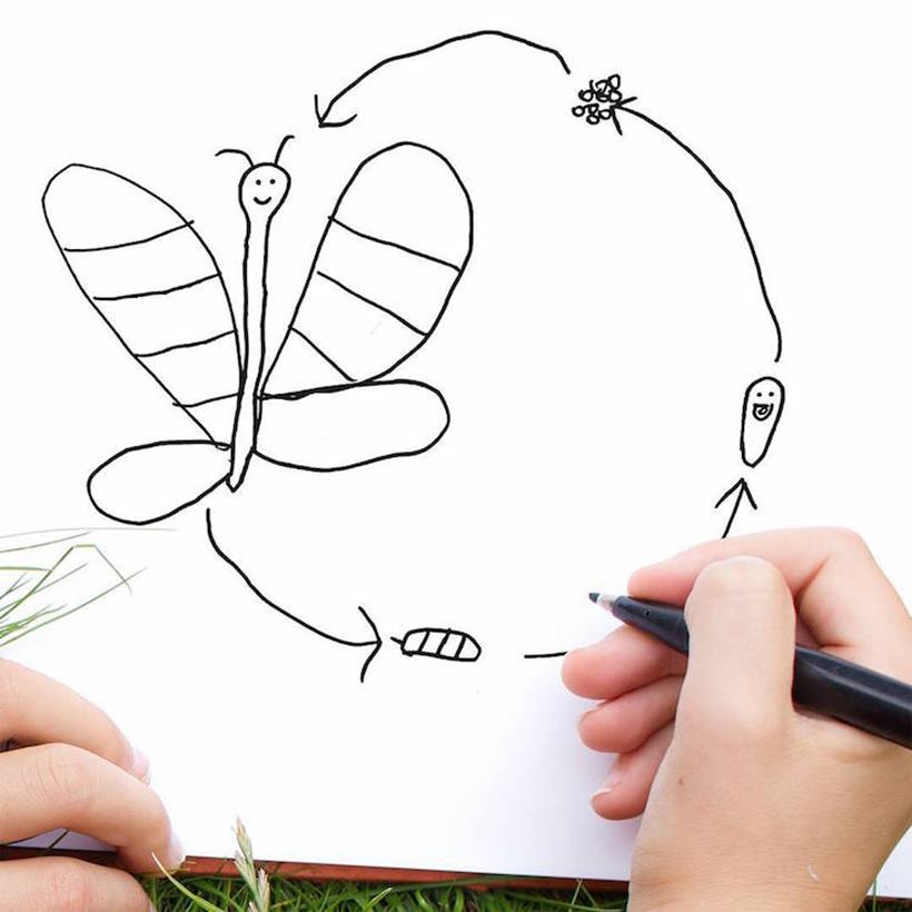 (Source: Instagram/ Things I Have Drawn)