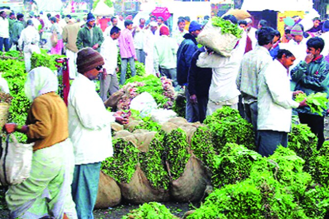 नागपूर : नोटाबंदीची ढाल; अडवला जातोय शेतमाल