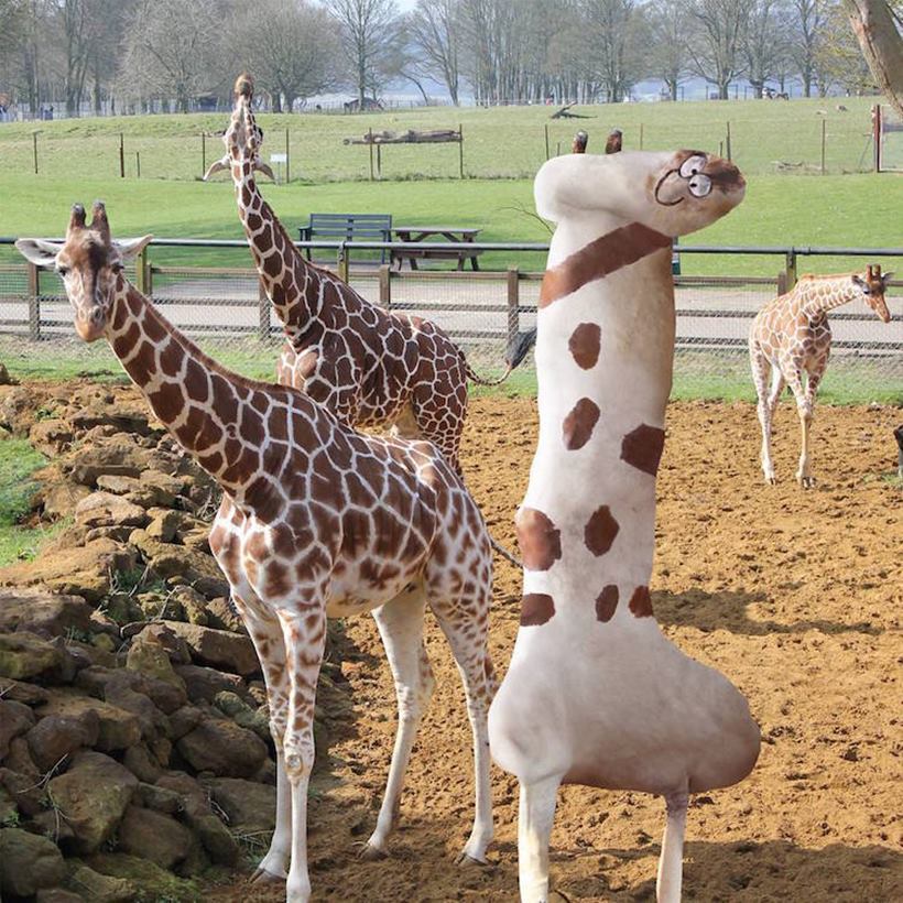 लहानग्याच्या रेखाचित्रांना वडिलांनी दिले आकर्षक रंगरुप!