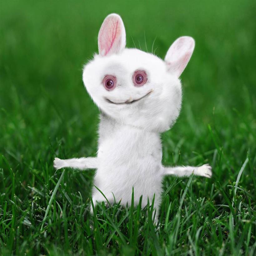 (Source: Instagram/ Things I Have Drawn)