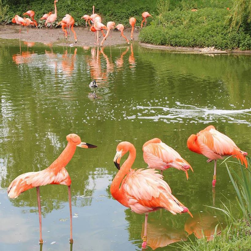 (Source: Instagram/ Things I Have Drawn)