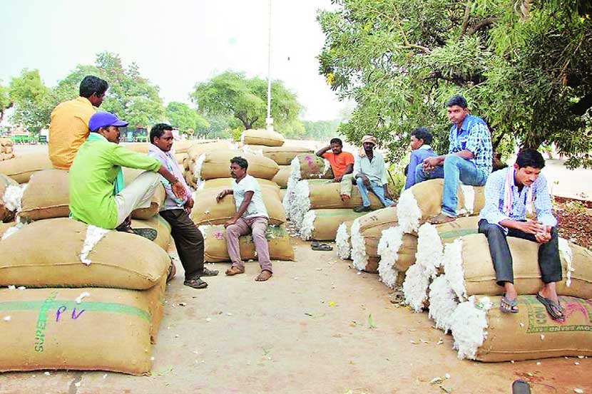 वरंगळ (तेलंगण) जिल्ह्य़ात खरेदीदार व्यापाऱ्यांची प्रतीक्षा करीत असलेले कापूस उत्पादक. 