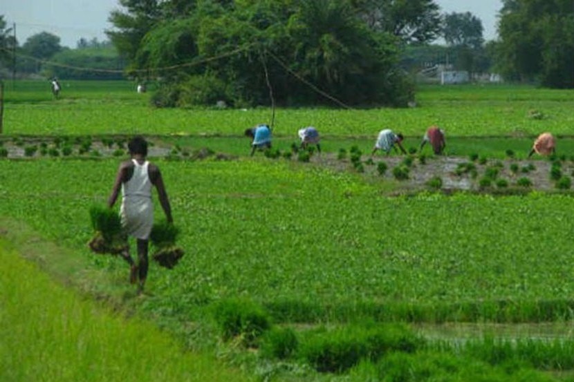 शेतीविकासाला चालना अपरिहार्य