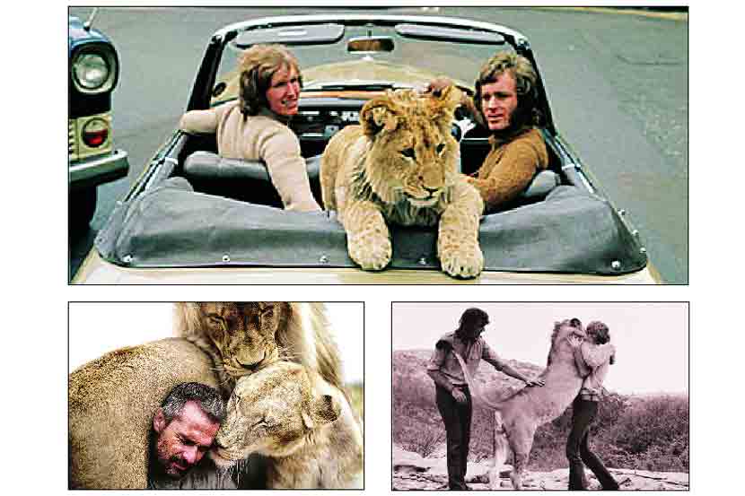 Wild animals and men love