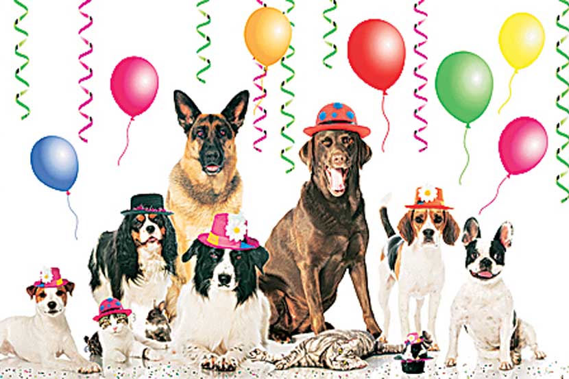 dog birthday