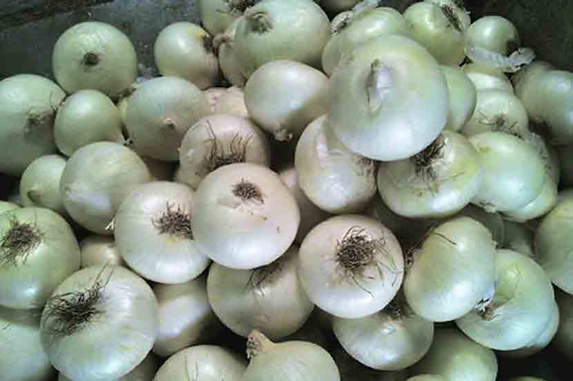 white-onion