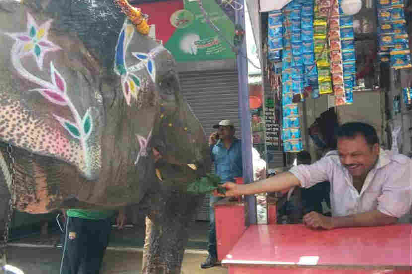 पान खाण्यासाठी दररोज तीन किलोमीटर चालत हत्ती या दुकानात येतो. (छाया आणि व्हिडिओ सौजन्य : एएनआय)