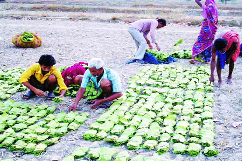 ( संग्रहीत प्रतिकात्मक छायाचित्र )