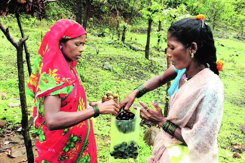 मार्च ते जून मुरबाडच्या जंगलातील आंबे, जांभळे, करवंदे, पपई, आळीव आदी फळे विक्रीसाठी येत असतात. जूनपासून रानभाज्या येऊ लागतात.