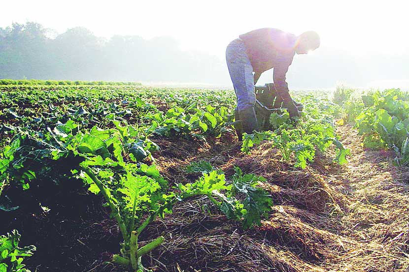 ( संग्रहीत प्रतिकात्मक छायाचित्र )