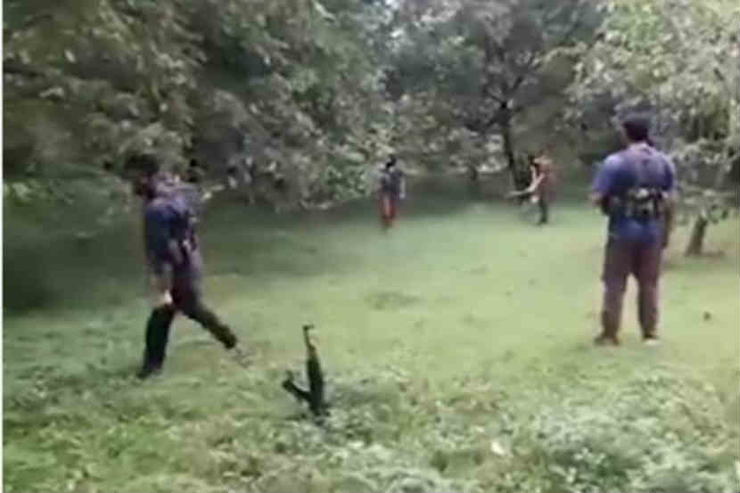 kashmiri militants playing cricket with ak47 video goes viral