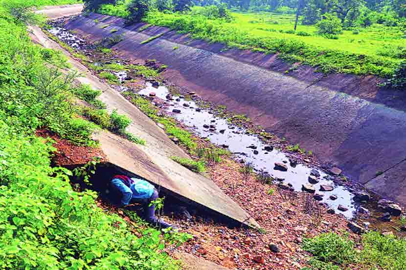 ( संग्रहीत प्रतिकात्मक छायाचित्र )