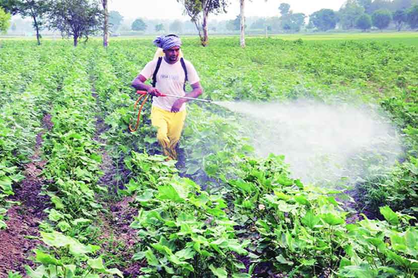 बियाणे, कीटकनाशक कंपन्यांना निर्दोष ठरविण्यासाठी ‘एसआयटी’?