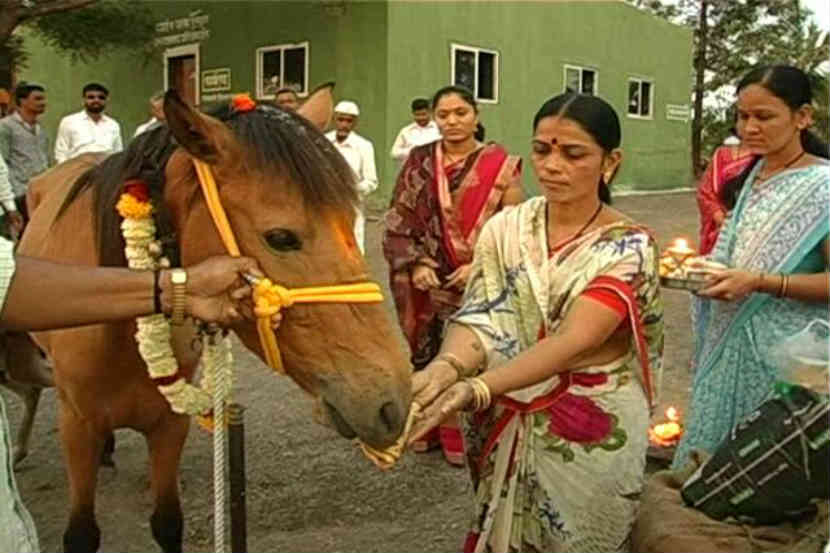 स्तुत्य उपक्रम, लेकीप्रमाणे त्यांनी केलं घोडीचं पाचवी पूजन