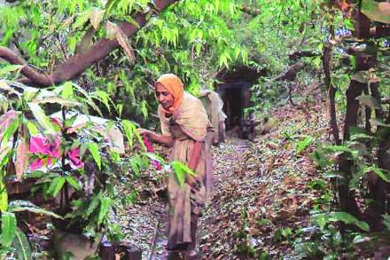 प्रा. हेमा साने यांच्या जीवनशैलीचा माहितीपटातून वेध