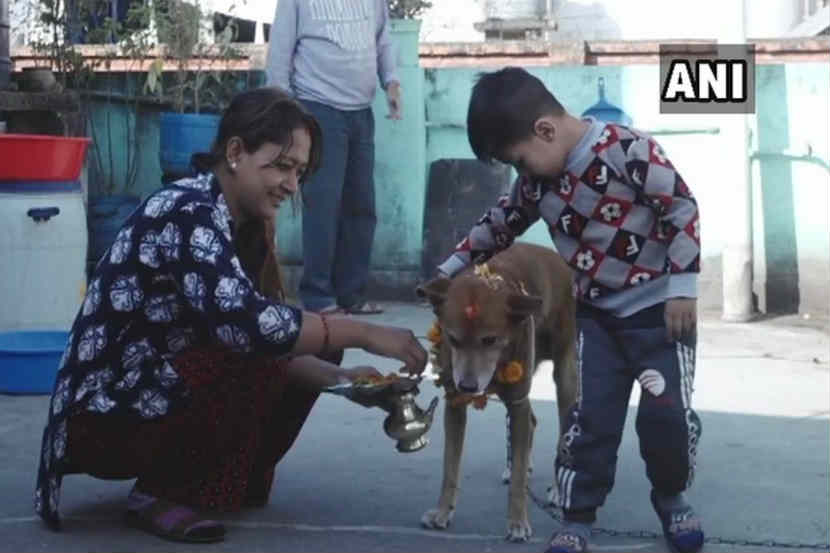 ‘या’ देशात दिवाळीला केली जाते कुत्र्यांची पूजा