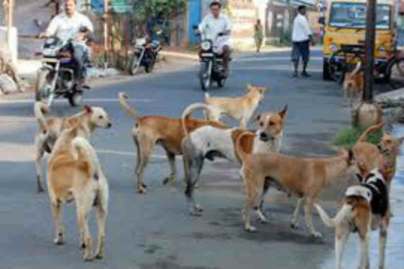 संग्रहित छायाचित्र 