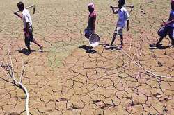 कोल्हापूर जिल्ह्यतील २०१ गावांमध्ये दुष्काळ घोषित