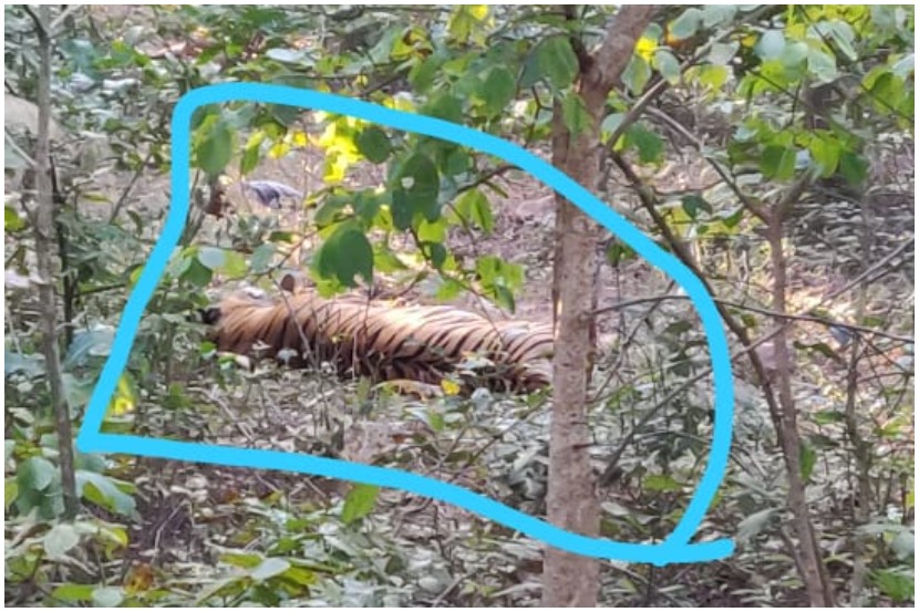 ( संग्रहीत प्रतिकात्मक छायाचित्र )