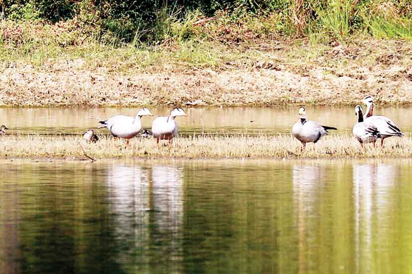 खापरी तलावाचे अस्तित्व अतिक्रमणाने नष्ट होण्याच्या मार्गावर आहे.