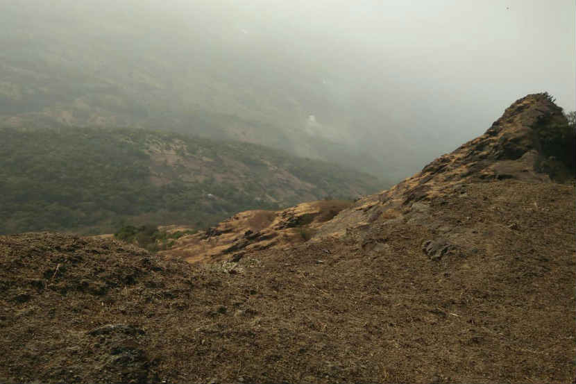 भीमाशंकर येथील नागफणी पॉईंट वरून दरीत कोसळले जोडपे