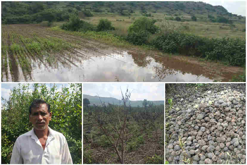 ”आपल्या पक्षाचा मुख्यमंत्री व्हावा याकडे नेत्यांचं लक्ष, मात्र शेतकर्‍यांकडे पाहण्यास वेळ नाही”