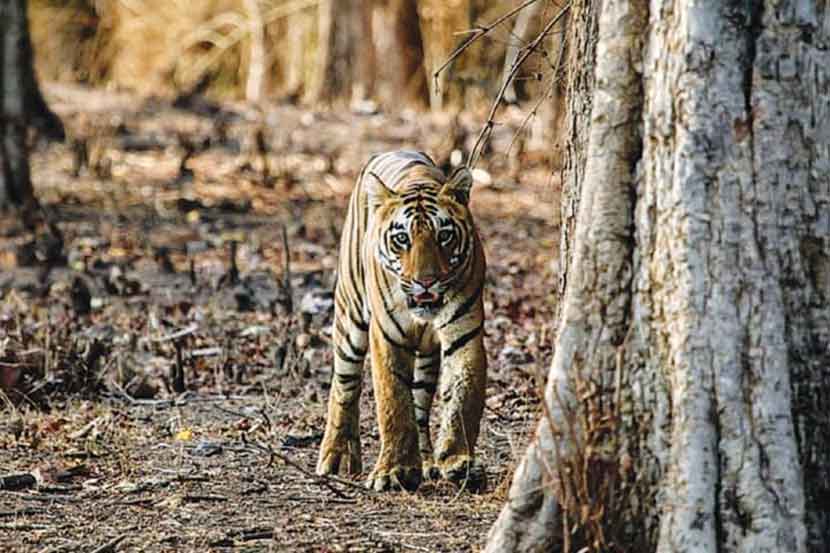 दहशतवादी याकूब मेमनच्या फाशीला विरोध करणारा आमदार उद्धव ठाकरेंच्या मंत्रिमंडळात