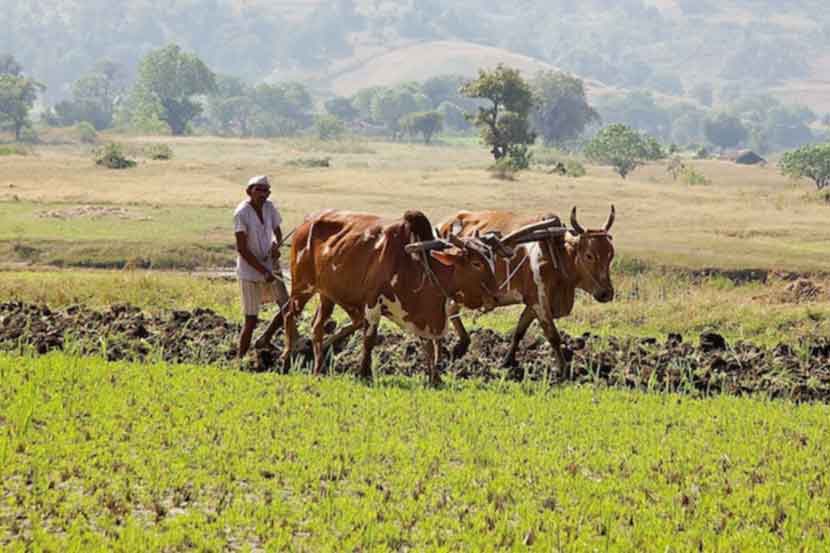 प्रतीकात्मक छायाचित्र