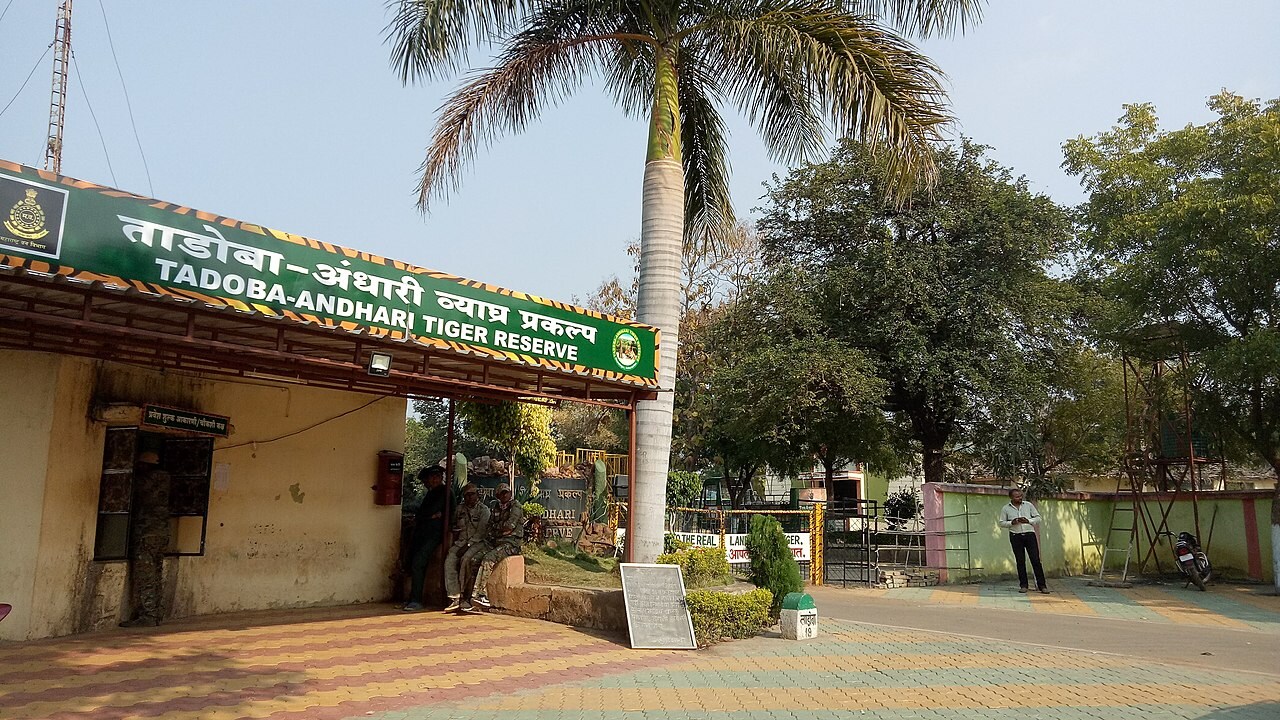 १०. ताडोबा अंधारी-व्याघ्र प्रकल्प - ताडोबा-अंधारी व्याघ्र प्रकल्प महाराष्ट्रातील व्याघ्र प्रकल्प आहे. येथे वाघांची वस्ती आहे. ताडोबा राष्ट्रीय उद्यानात मुख्य आकर्षण जंगल सफारी आहे.