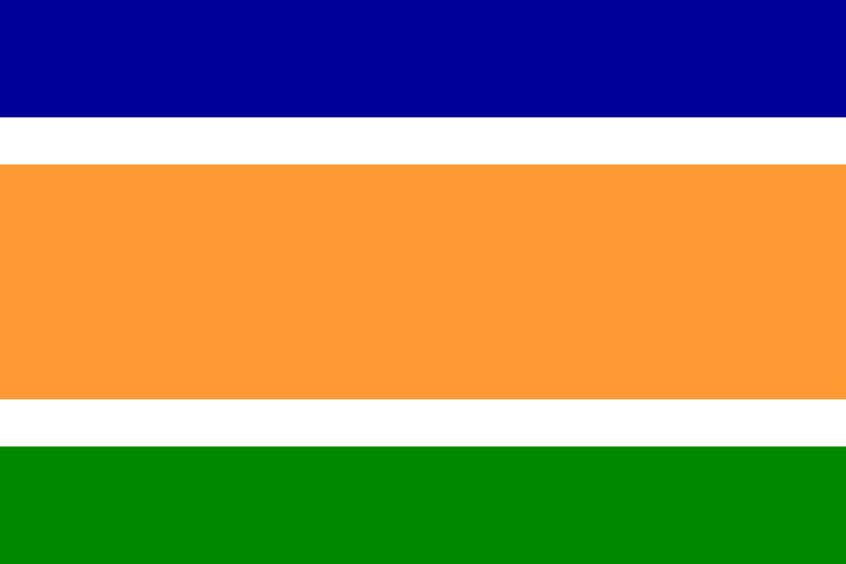मनसेचा आधीचा झेंडा हा विविध रंगांचा होता. त्यात वर निळा आणि तळाला हिरवा रंग होता. तर मध्ये या दोन रंगांपेक्षा थोडा मोठा भगवा रंग होता.