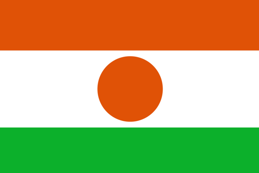 भारत आणि नाईजर या दोन देशांचे झेंडे एकसारखेच दिसतात. फरक फक्त इतकाच की भारतीय झेंड्यावर अशोक चक्र आहे. तर नाइजर झेंड्यावर एक मधोमध भगव्या रंगाचे वर्तुळ आहे. (हा झेंडा नाइजरचा आहे)